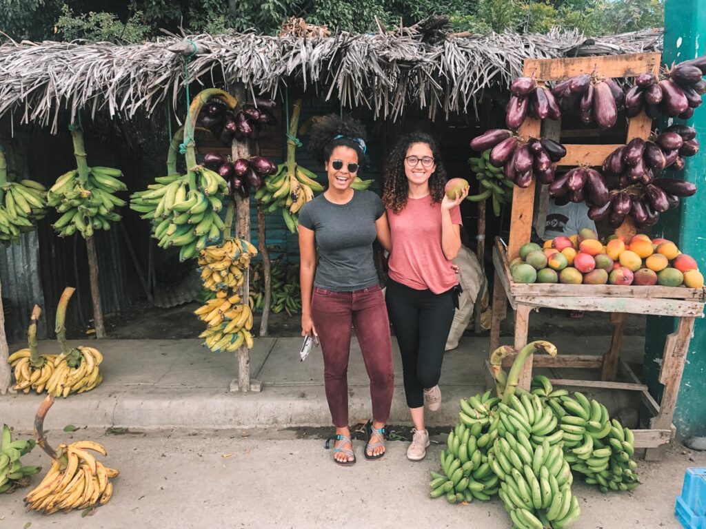 Tropical fruit market Dominica