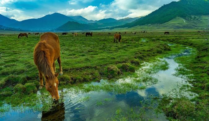 Mechuka, Arunachal Pradesh