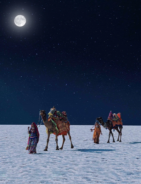 Full-Moon Night on the White Salt Desert: The glow is surreal. Rann of Kutch Festival