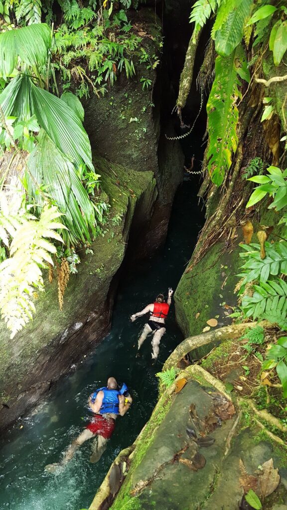 swim through a narrow canyon with volcanic walls rising on either side