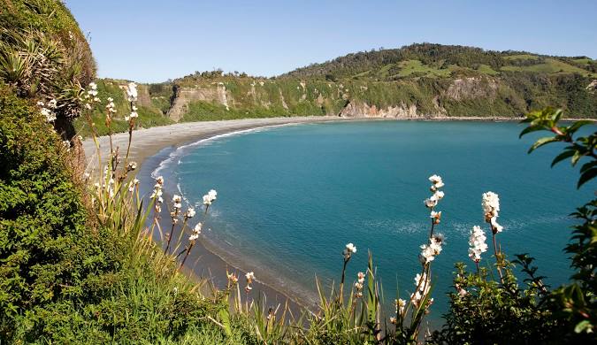 Chepu Beach and Sunken Fores