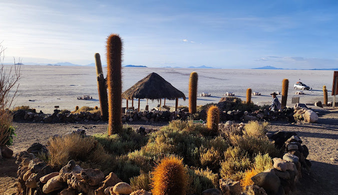 Incahuasi Island (Isla del Pescado), Uyuni Salt Flats 