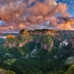 Why Is Madidi National Park Dangerous? Risks, Reality & Safety Guide for Jungle Travelers