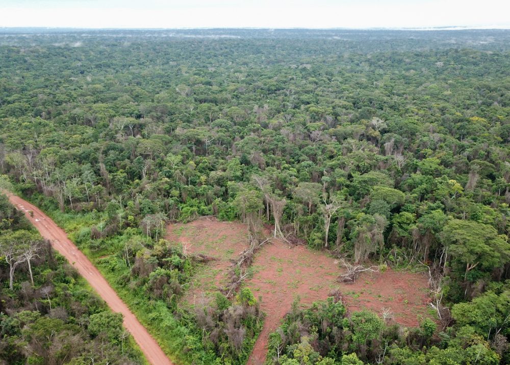 Human & Environmental Threats — Mining, Dam Projects, Illegal Logging, Conflict