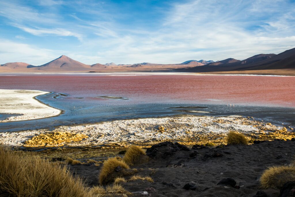 Laguna Colorada, Uyuni Salt Flats 