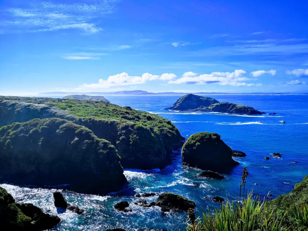 Discover what to do in Chiloé Island — top attractions, hidden gems, food, wildlife, towns, and travel tips to plan an unforgettable trip to Chile’s magical island.