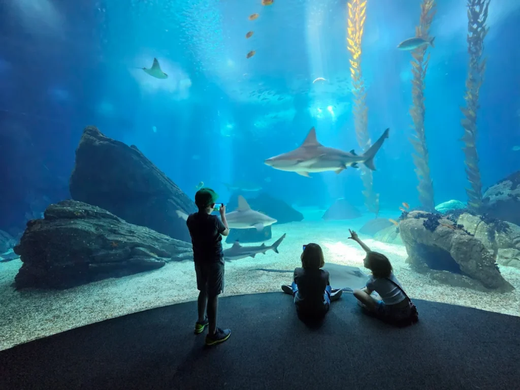 Oceanário de Lisboa: Europe's Best Aquarium