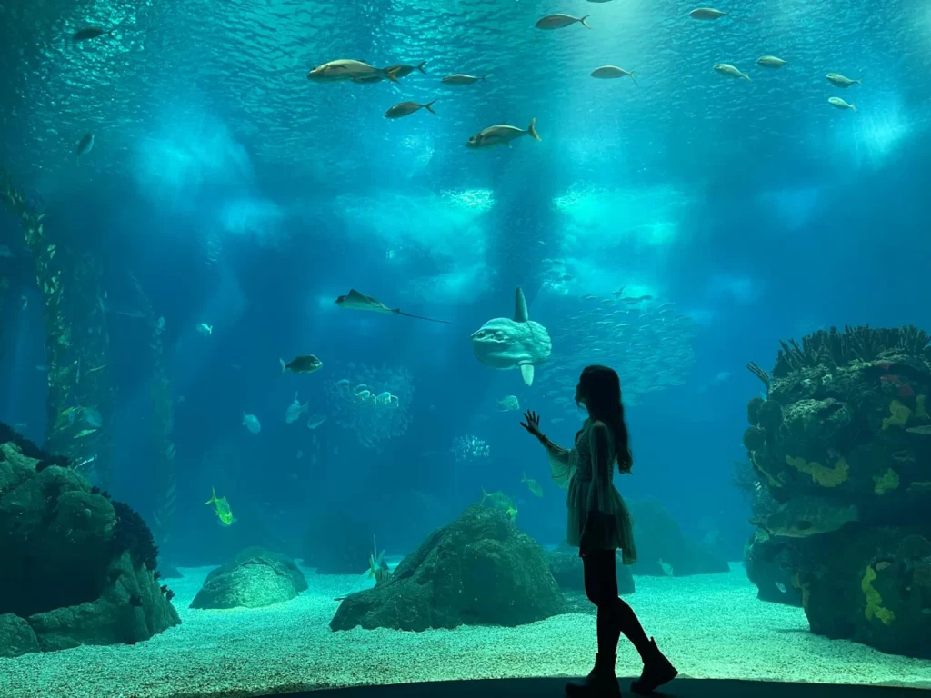 Oceanário de Lisboa: Europe's Best Aquarium