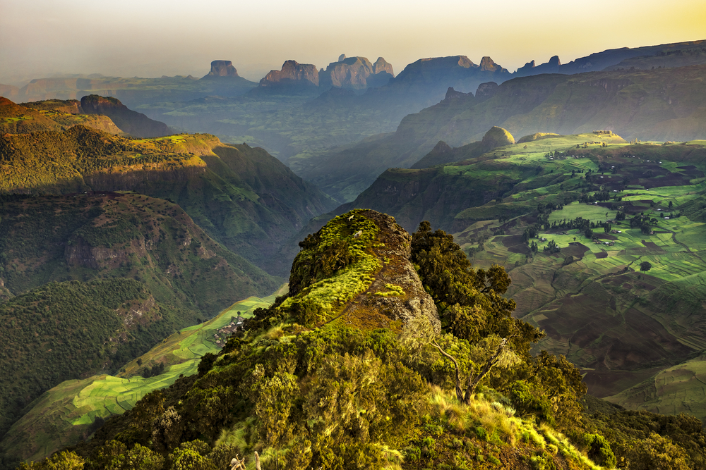Sunrise over the Sanetti Plateau, Bale Mountains National Park, Ethiopia — showcasing afro-alpine heathlands.