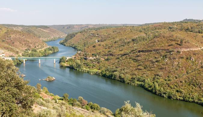 The Tagus River (locally called Rio Tejo) defines Lisbon's character. An evening cruise offers unique perspectives of landmarks you've seen from land, plus that famous golden-hour light Lisbon 