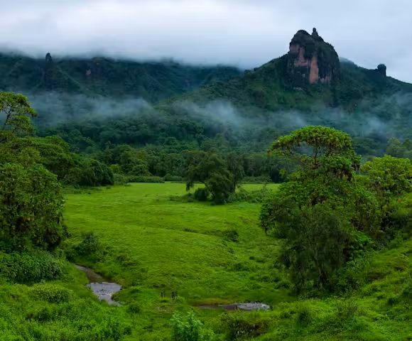 Tourists trekking along a trail in Bale Mountains National Park, Ethiopia — wildlife-spotting context.