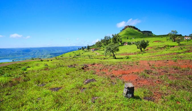 Kaas Plateau, locally known as Kaas Pathar (where "Pathar" means plateau in Marathi), is a biodiversity hotspot that sits at approximately 1,200 meters (3,937 feet) above sea level.