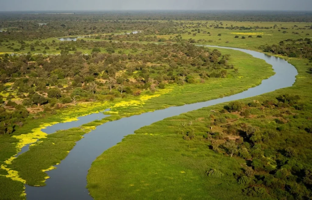 Zakouma National Park Chad