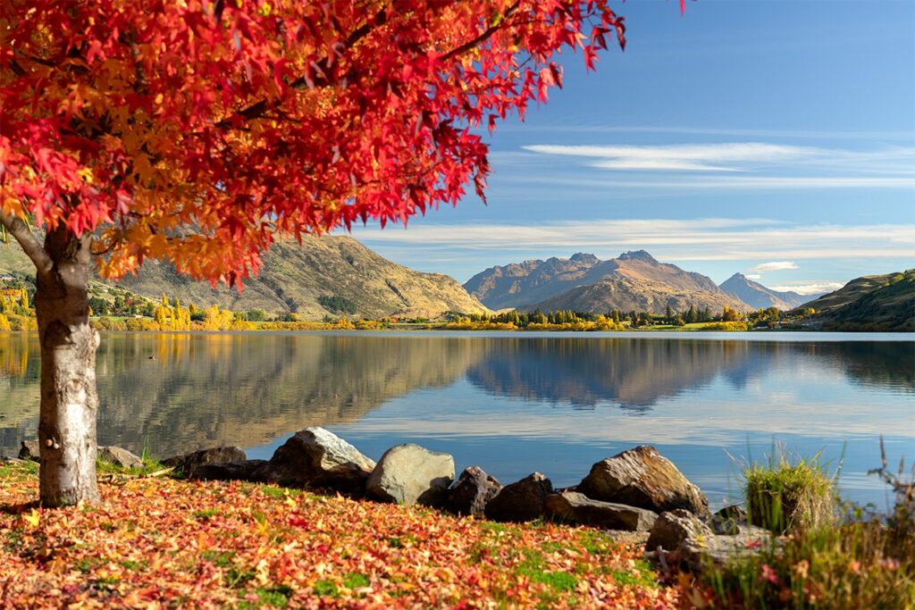 New Zealand Autumn 
