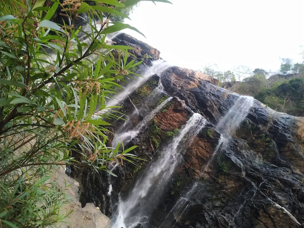 Scenic view of a waterfall cascading down mossy rocks surrounded by lush greenery