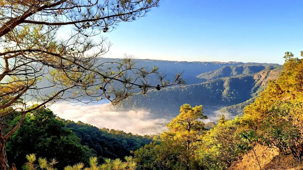 Meghalaya hills and valley scenic landscape, perfect travel destination overview