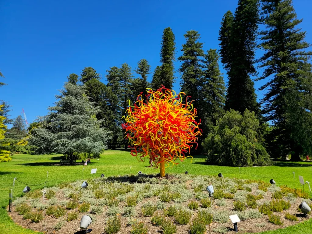 Adelaide Botanic Garden