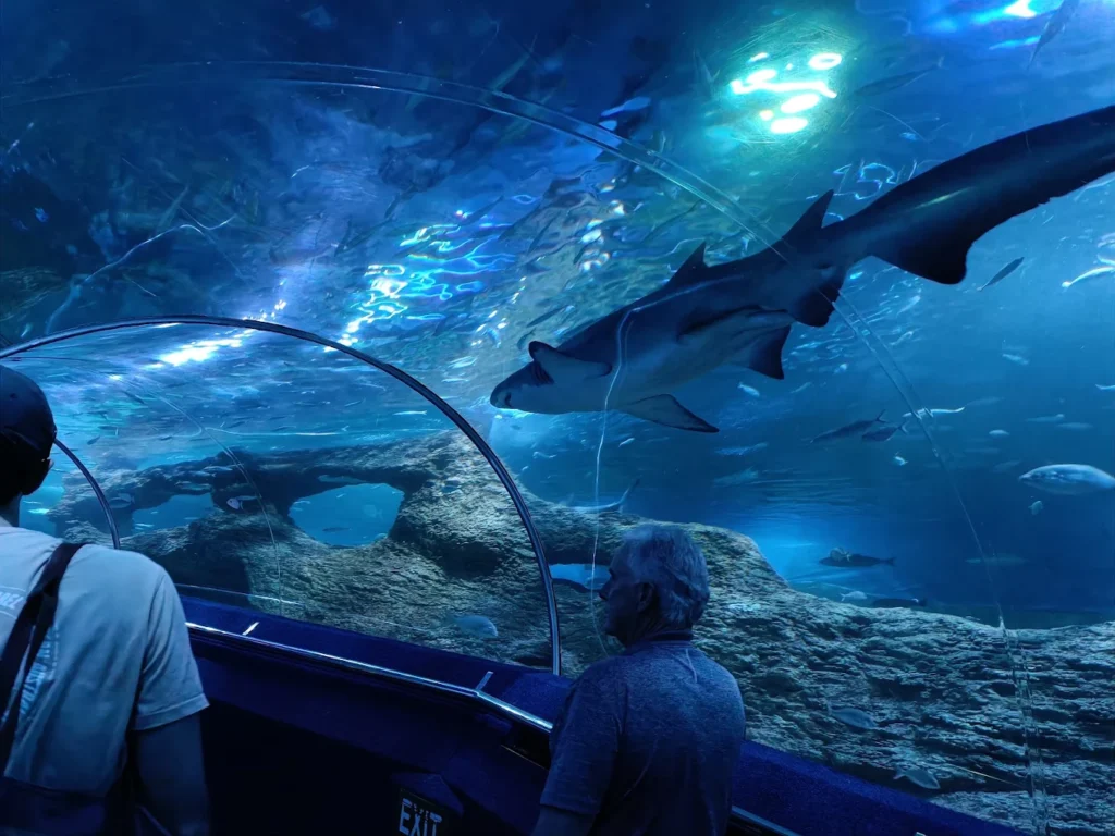 Aquarium of Western Australia (AQWA) at Hillarys Boat Harbour