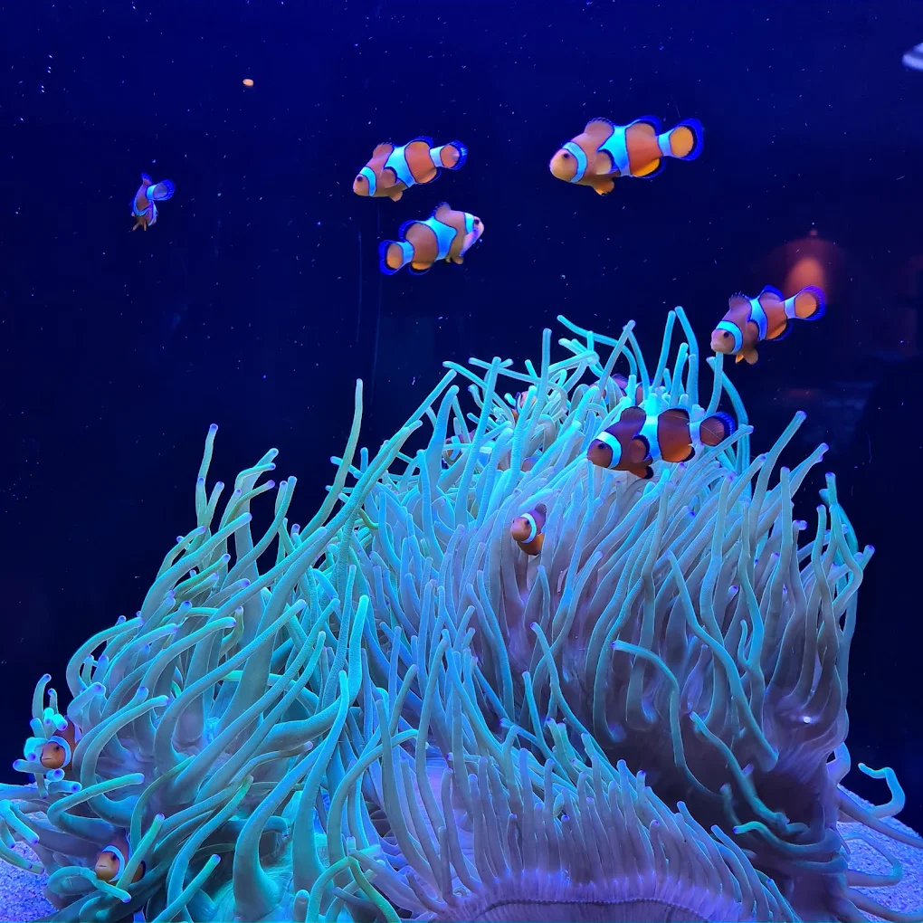 Aquarium of Western Australia (AQWA) at Hillarys Boat Harbour