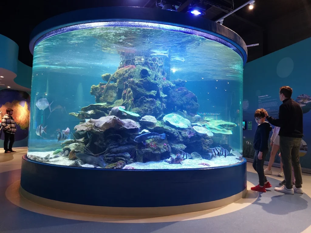 Bunbury Dolphin Discovery Centre