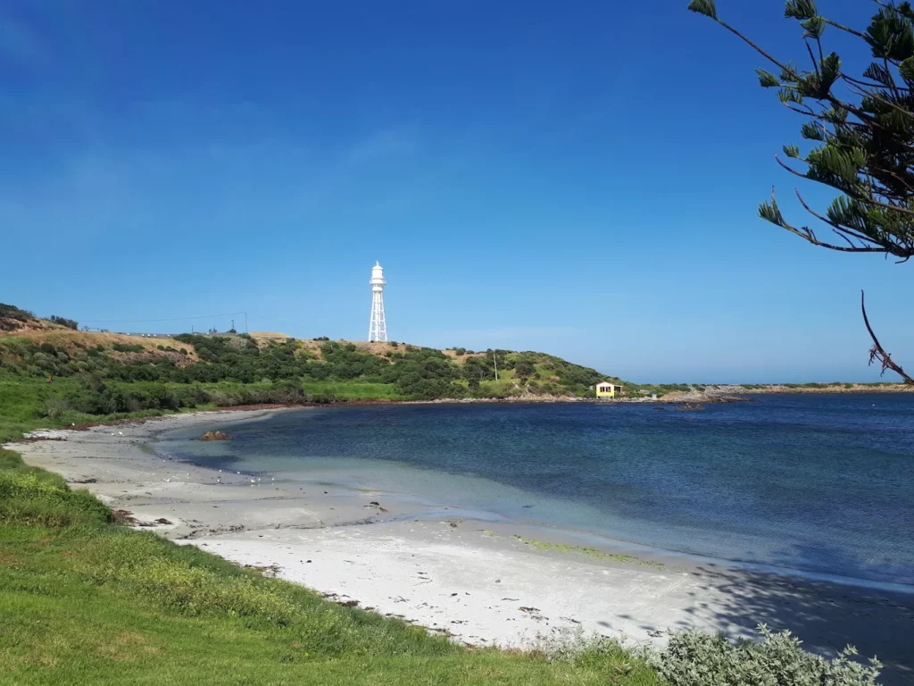 Cape Wickham Lighthouse stands as Australia's tallest lighthouse at 48 meters (157 feet)