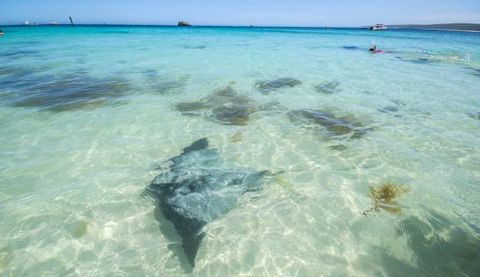 Hamelin Bay, Margaret River, Australia