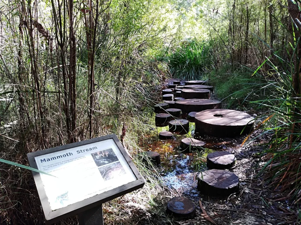 Mammoth Cave, Margaret River, Australia