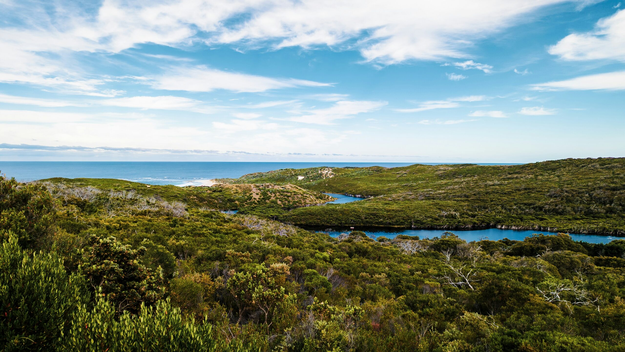 Coastal scene or aerial of Margaret River coastline