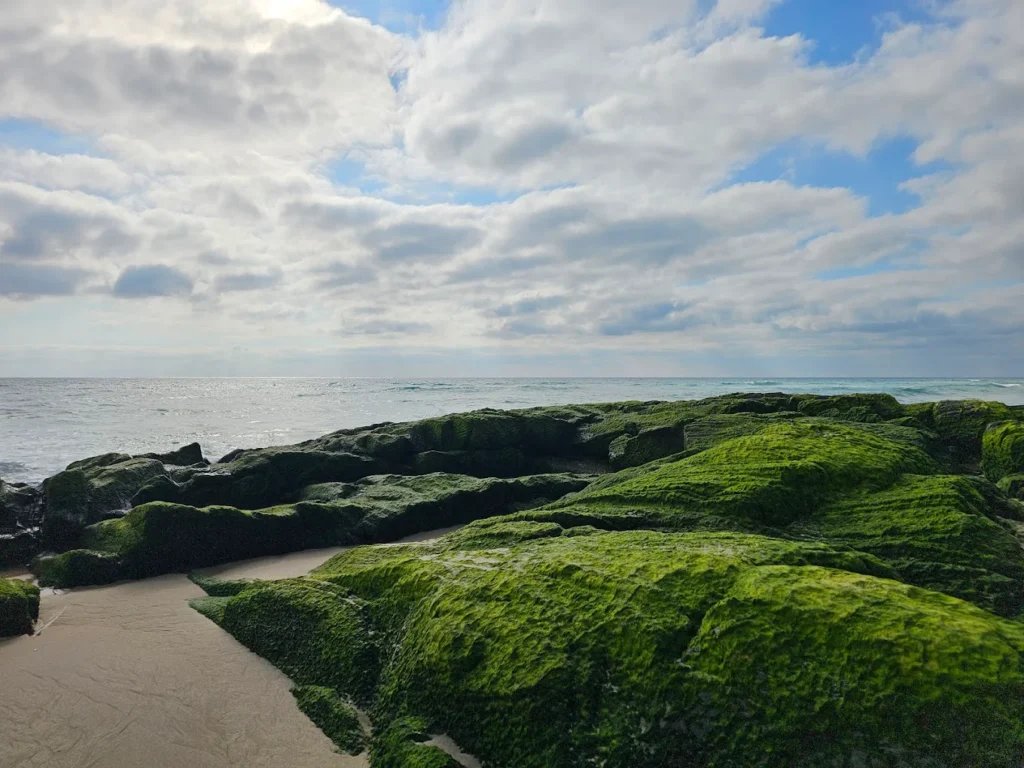 Martha Lavinia Beach, King Island, Tasmania, Australia