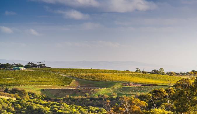 McLaren Vale , Adelaide Australia