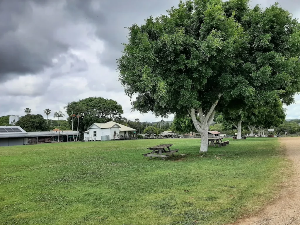 The Farm Byron Bay sits on 80 acres of working farmland 