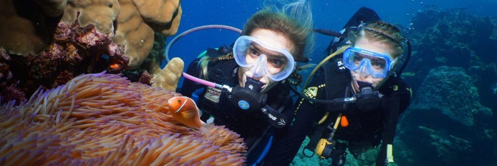 Safe Great Barrier Reef snorkeling with stinger suits and safety equipment provided by tour operators