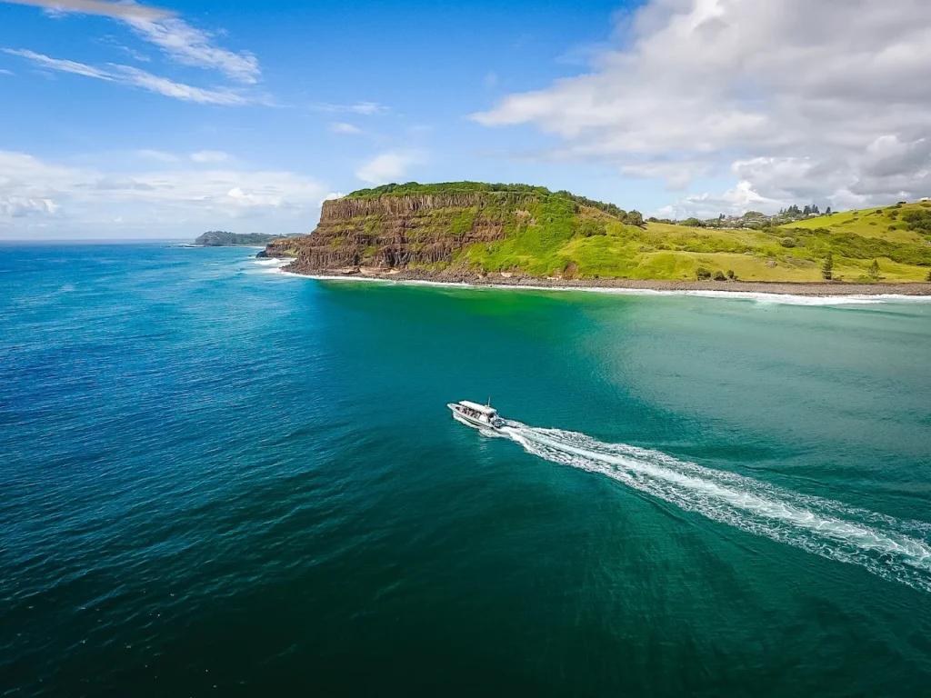 whale watching at byron bay