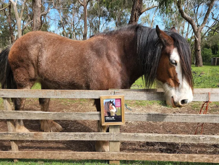 Churchill Island Heritage Farm, Phillip island, Australia 