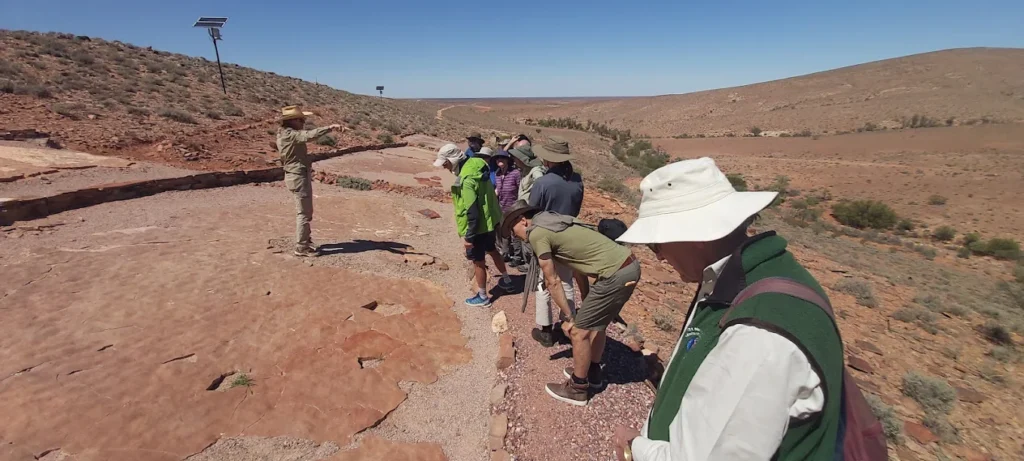 Ediacaran fossils south Australia