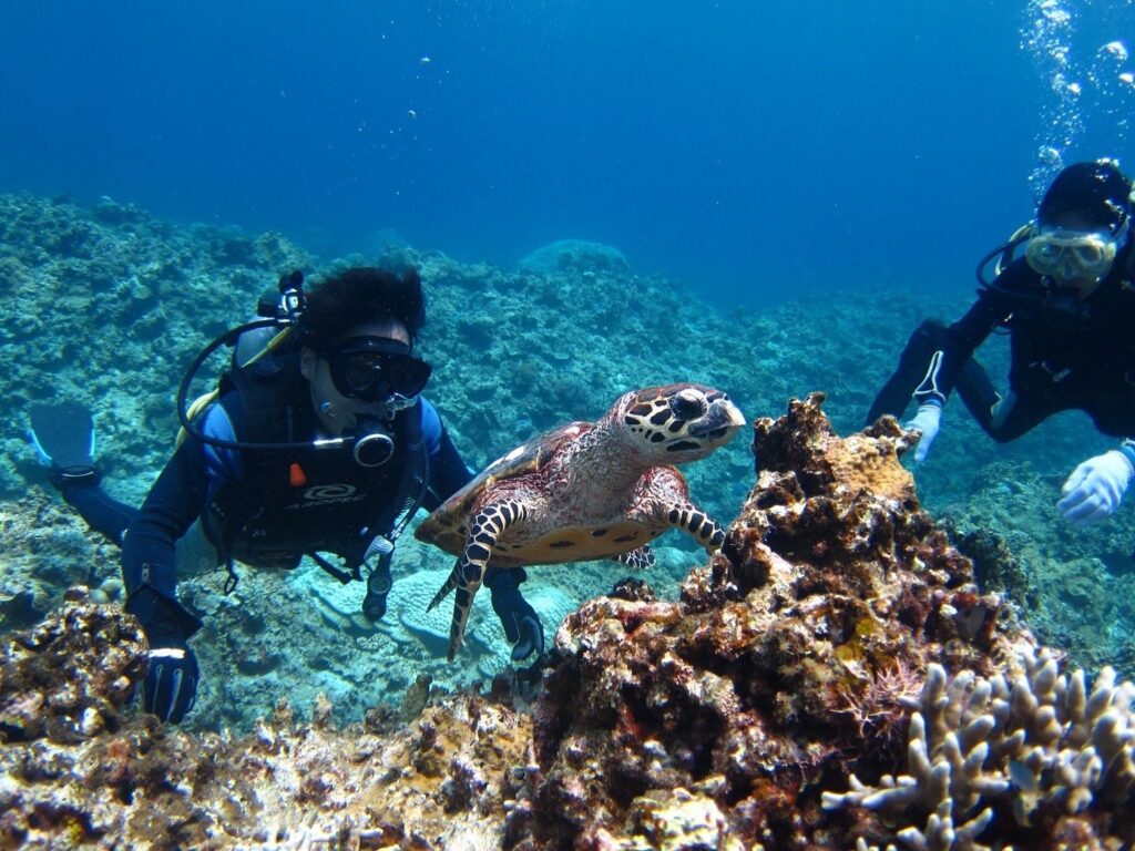 "Kerama Blue" — a term locals use for the otherworldly turquoise colour of the sea. Coral reefs are healthy and diverse.