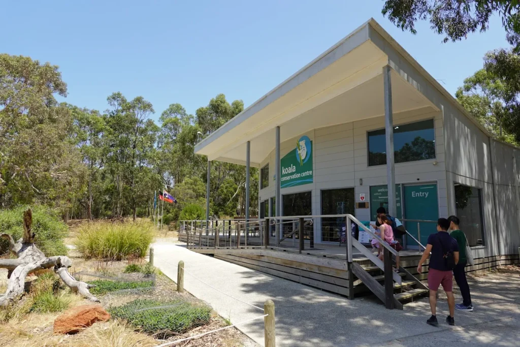 Koala Conservation Centre, Phillip island, Victoria, Australia 