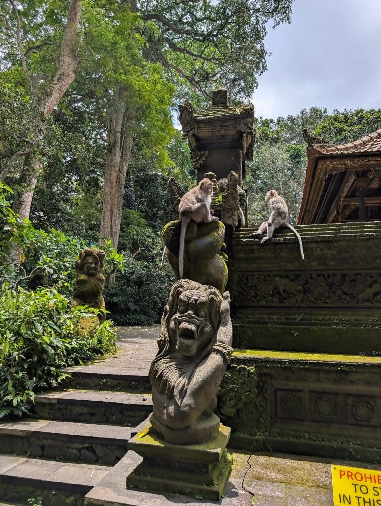 Sacred Monkey Forest Sanctuary, Bali