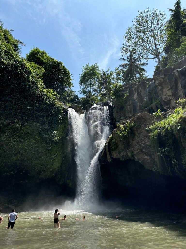 Sacred Monkey Forest Sanctuary, Bali