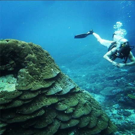 Scuba Diving at Crystal Bay, Nusa Penida, Bali