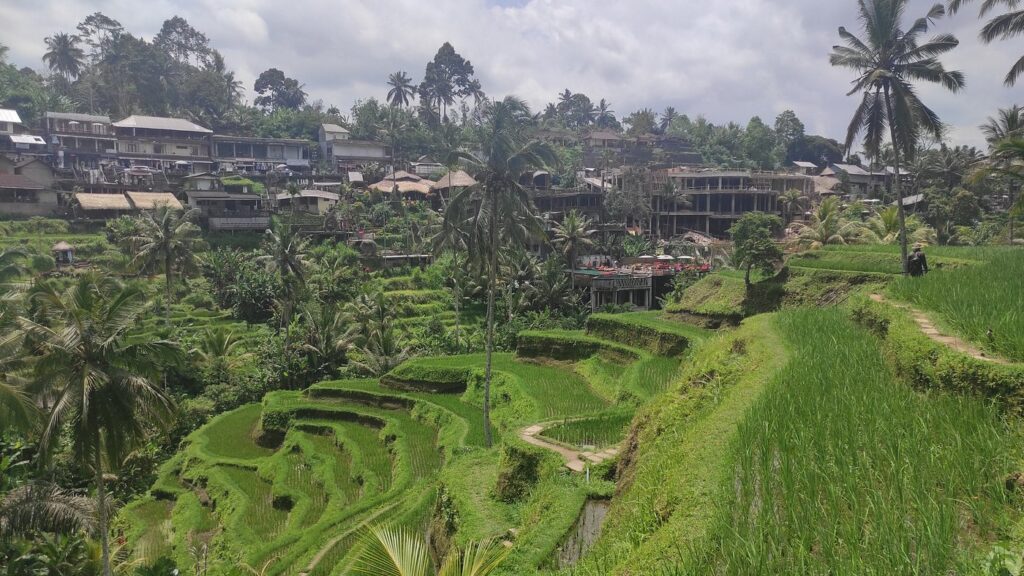 Tegallalang Rice Terraces, Bali, Indonesia 