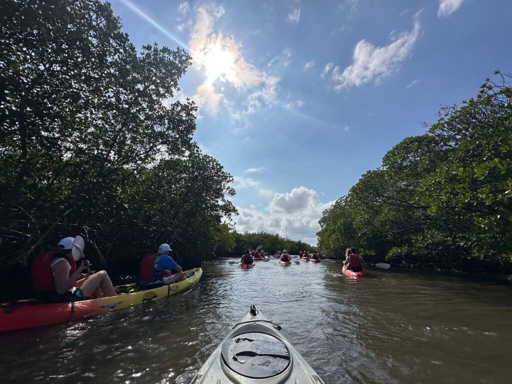 The Urauchi River mangrove kayak tour is one of Okinawa's most memorable experiences