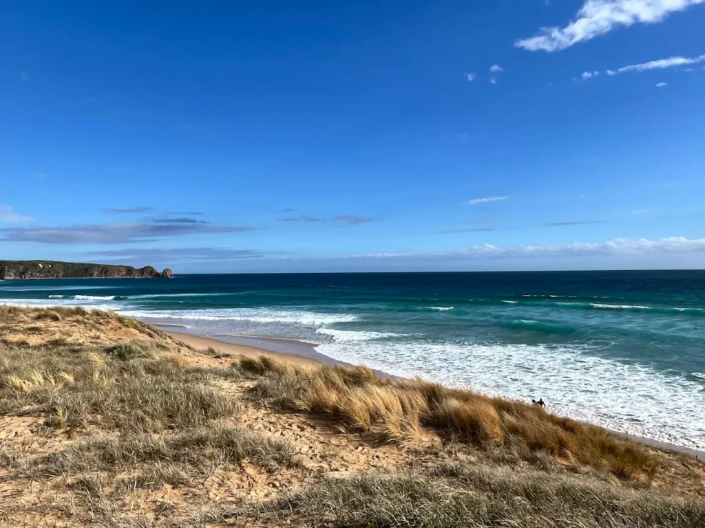Ventnor Beach: Beautiful views across Western Port, gentle waves, perfect for kids.