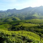 Munnar Tourist Places: 20 Best Places to Visit in Munnar, Tea Gardens, Itinerary & Hidden Gems (2026 Travel Guide)
